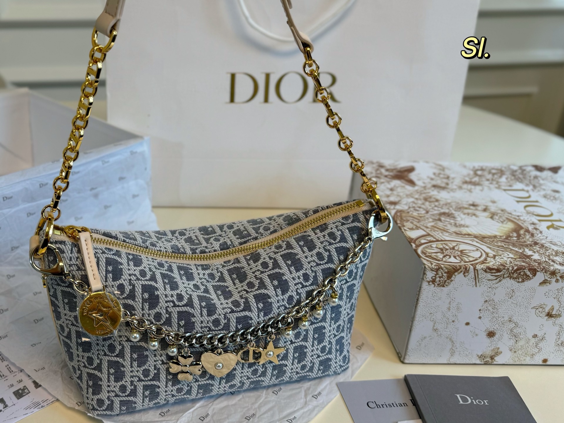 DIOR bag 111